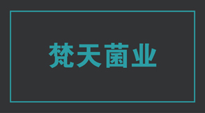 食品行业曲靖冲锋衣设计款式